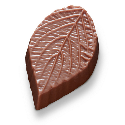 Herfstblad Gianduja